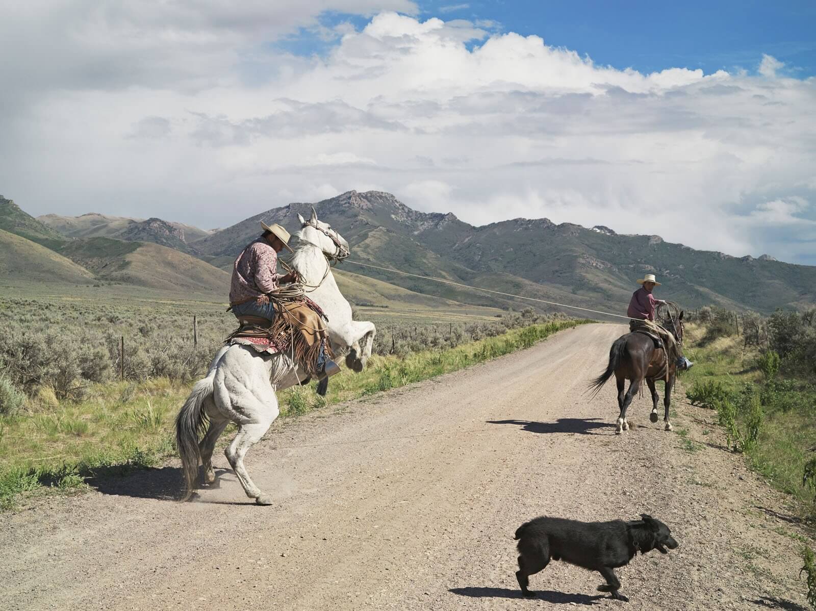 LUCAS FOGLIA: FRONTCOUNTRY